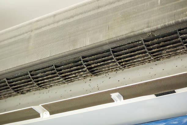 Best Dryer Vent Cleaning Services  in Hinsdale, IL